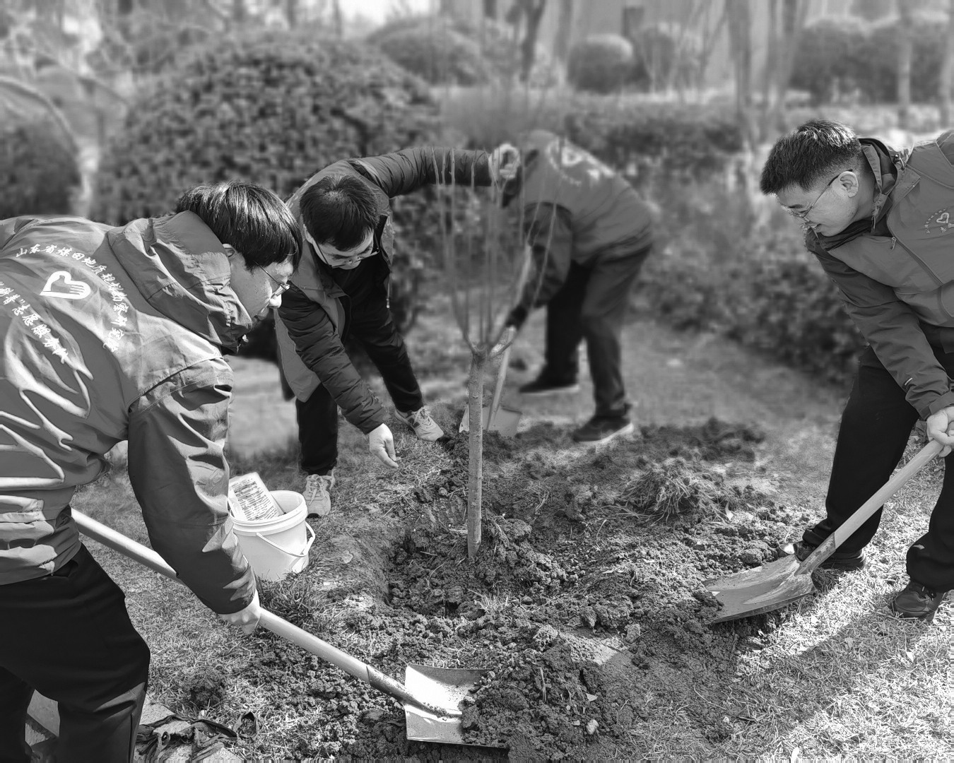 1773901695821233.jpg 1773901695821233.jpg