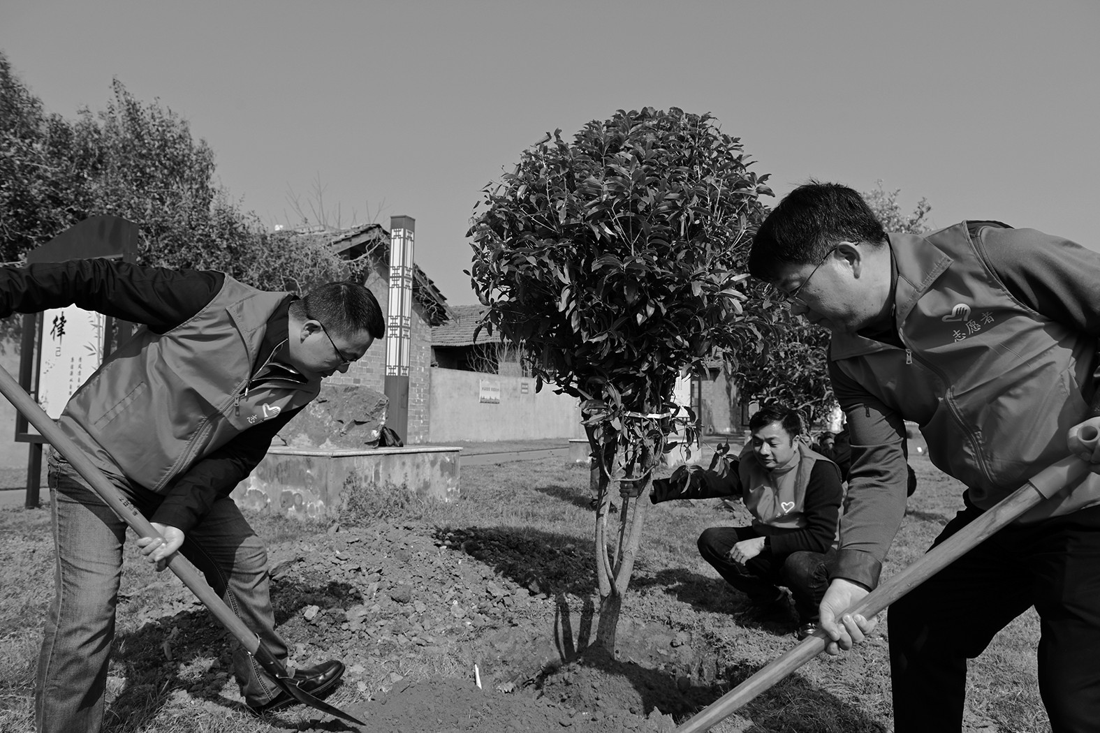 1773901768604780.jpg 1773901768604780.jpg