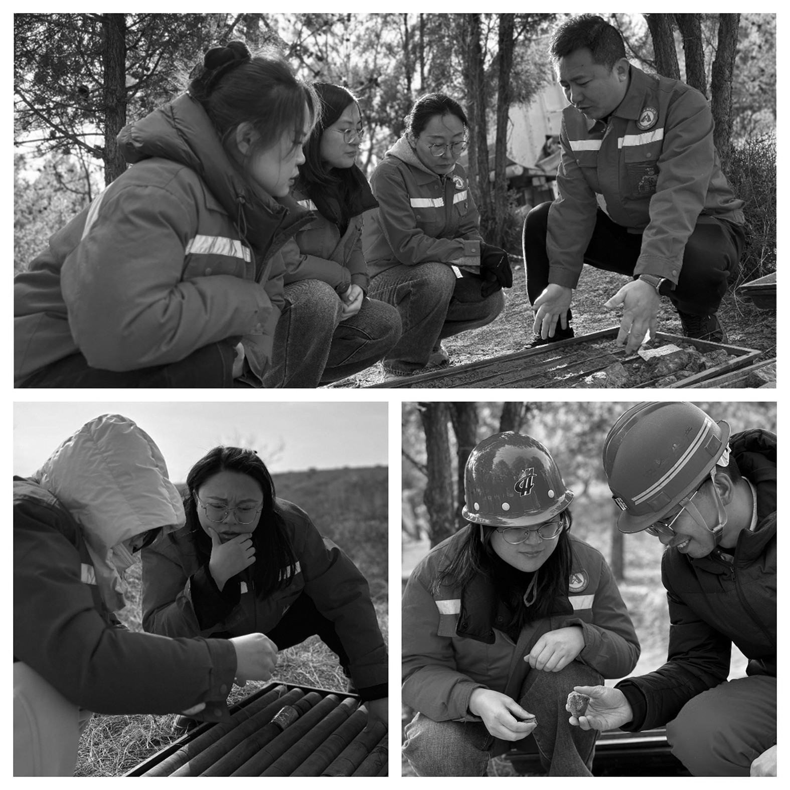 1774508201624178.jpg 1774508201624178.jpg